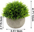 Ogrmar 4PCS Mini Plastic Artificial Plants in Pot - Small Faux Greenery for Bathroom & House Decorations