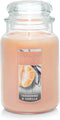 Yankee Candle Tangerine & Vanilla Scented Classic 22oz Large Jar Candle, Over 110 Hours Burn Time