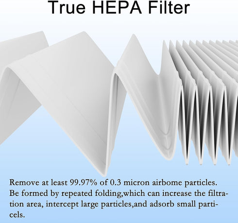 VK-6067B Replacement Filter for Vremi and HOKEKI Air Purifiers, H13 True HEPA and Activated Carbon Filters, 2 Pack