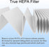 VK-6067B Replacement Filter for Vremi and HOKEKI Air Purifiers, H13 True HEPA and Activated Carbon Filters, 2 Pack