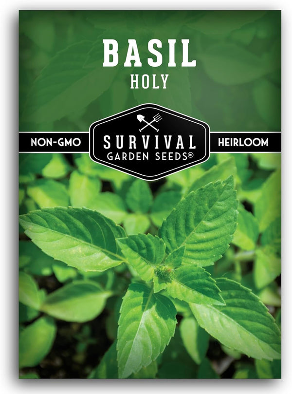 Holy Basil Seed for Planting - Indian Sacred Herb Tulsi Seeds to