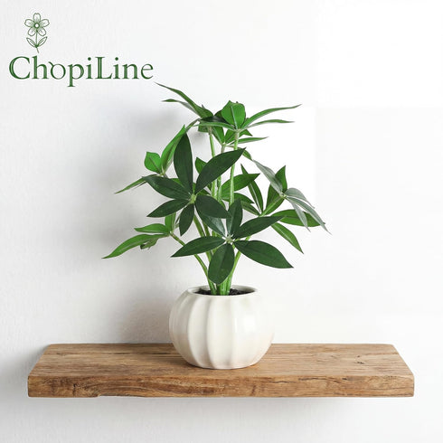 ChopiLine 9.1 Artificial Plants Stems with Vase, Fake Plants for Home Decor, Coffee Table Centerpieces, Office