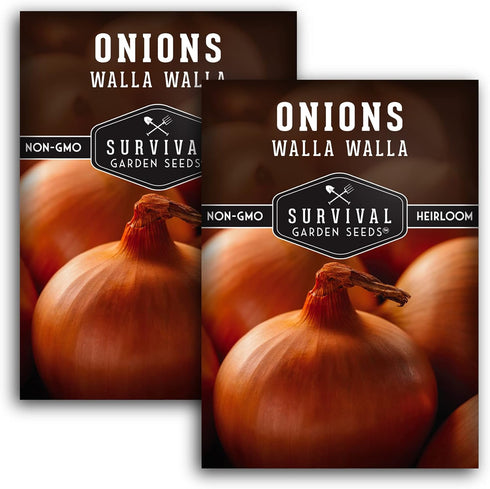 Walla Walla Sweet Onion Seeds for Planting Long Day Yellow Sweet Onions