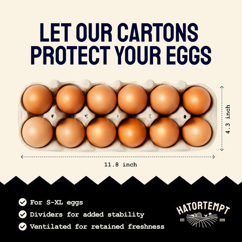 24-Pack, 12-Count Dozen PTCOM Hatortempt Bulk Egg Cartons - Reusable Basket - Recycled Paper Pulp Protection