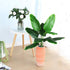 CATTREE 33 inch Tall Artificial Banana Tree, 9 Branches with Brown Leaves, UV Resistant Plastic for Indoor or Outdoor