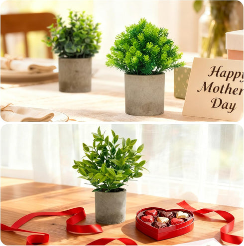 Set 5, AUUGUU Artificial Potted Plants of Realistic Faux Greenery in Cement Pots for Home Office Desk Bookshelf Decor