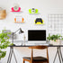4 Pack Soaoo Acrylic Small Floating Shelves Neon Acrylic Floating Shelf Colorful Display Stand with Screw Wall Mounted