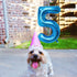 40 Inch Birthday Helium Foil Digital Balloons, Glossy Blue Number 0-9 (5)