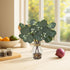 2 Pack 11" Artificial Eucalyptus Stems in Glass Vases, Fake Plants with Faux Water Stones, Small Faux Plants