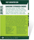 Purely Organic Products LLC 200 Organic Onion Seeds (Bunching Evergreen) - Approx Seeds - USDA Organic, Non-GMO, Open