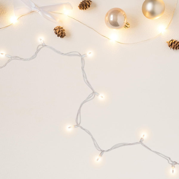 4' 10ct Northlight Mini Incandescent Christmas Lights - Clear - White Wire