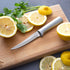 Rada Cutlery Super Parer Knife (R127), 4.38" Stainless Steel Blade, Silver Handle, Made in USA