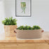 Boho Decor Storage Basket, Woven Decorative Basket for Organizing Countertop and Toilet Paper with Handle