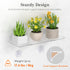 6" 2 Pack, 38 15 cm/15.2x6 Lifewit Extra Wide & Strong Window Plant Floating Shelves Heavy Duty Acrylic Suction Cup