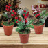 Christmas Tabletop Decorative Pots Set of 3 with Pine Red Berries, Pine Cones Greenery - Snow Flocked Xmas Holiday Decor