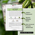 Packet (1) Sow Right Seeds - Giant Caesar Lettuce Seeds for Planting - Non-GMO Open Pollinated Heirloom