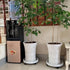WanderingDonkey 2 Pack 11 Inch of Heavy Duty Plant Caddy with Wheels,Rolling Plant Stand Pot Trolley,Wheeled Planter