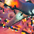 50 8 ASENEK Christmas Lights - Battery Operated String Lights LED String Lights Mini Lights with Auto-Timer