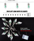 2Pcs 6.6 20 Bulbs Christmas Snow Globe String Lights Indoor Decorations FT Battery Operated Powered String Lights