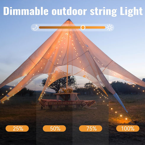 33ft 100 8 WERTIOO Globe String Lights Battery Operated LED Globe Lights with Remote, Modes & Timer Warm White String
