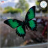 Butterfly Window Clings (36 pcs) - Large Decals for Glass, Blue, Red, Orange, Teal, Decorative, Reusable, Indoor Use