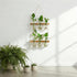 2 6 Bulb Renmxj Plant Propagation Station Wall Hanging, Plant Terrarium with Tiered Wooden Stand for Hydroponics