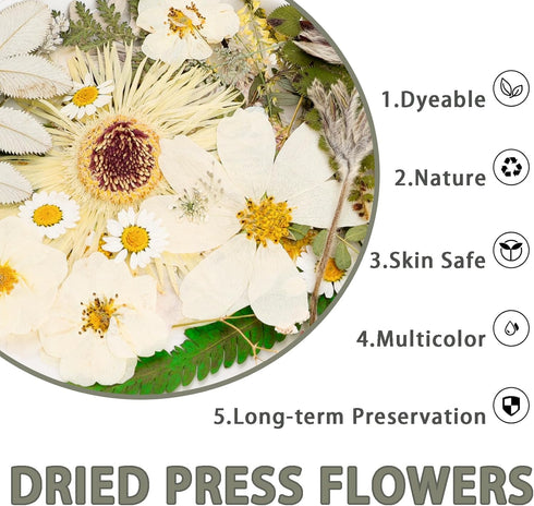 50Pcs Dried Pressed Flowers - Real Pressed Flowers, Natural Dry Leaves, Bulk Colorful Herbs Kit for Crafts