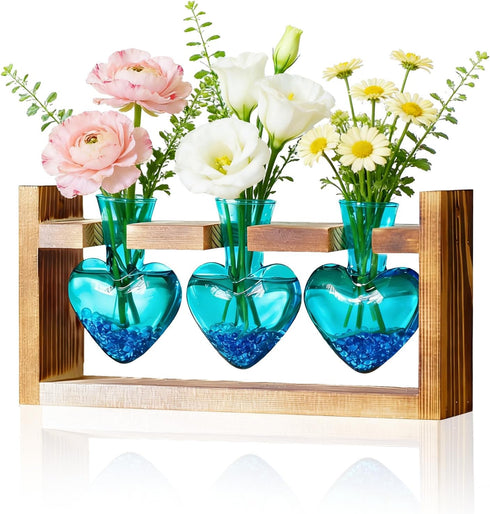 Nacome Plant Terrarium Propagation Stations: Mothers Day Gifts for Mom Plant Lovers