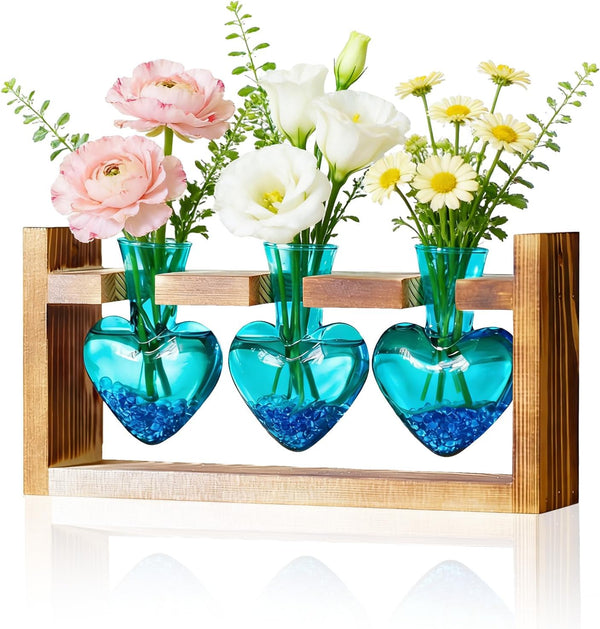 Nacome Plant Terrarium Propagation Stations: Mothers Day Gifts for Mom Plant Lovers