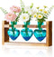 Nacome Plant Terrarium Propagation Stations: Mothers Day Gifts for Mom Plant Lovers