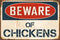 StickerPirate Beware of Chickens Vintage Aluminum Retro Metal Sign, 8” x 12”
