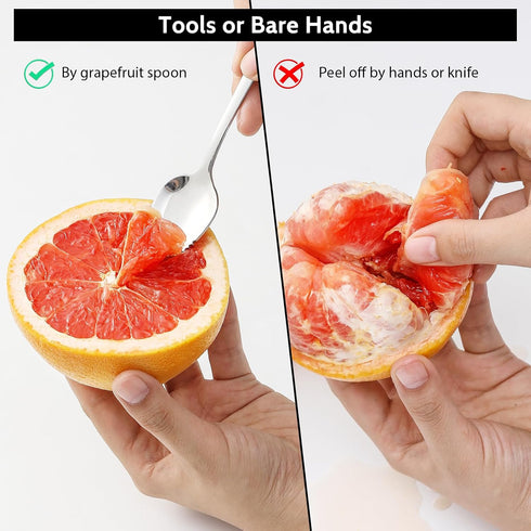 Hiware 4-piece Grapefruit Spoons and Knife, 18/8 Stainless Steel