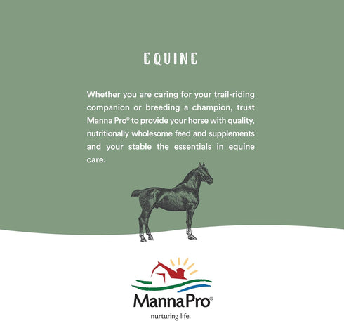 4 oz Manna Pro Bounce Back Supplement | Multi-Species Electrolyte |