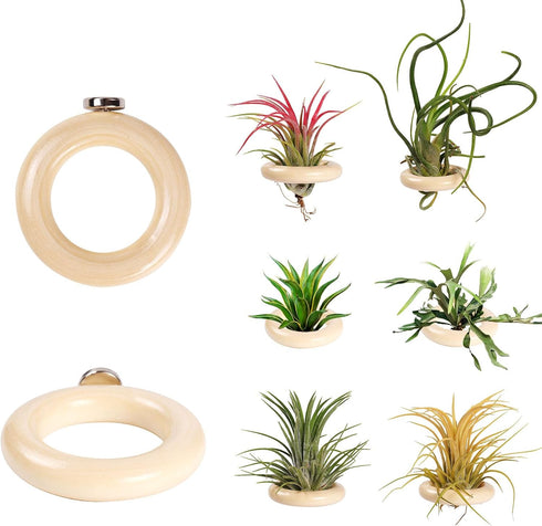 LNBNIEW 6 Pack Air Plant Holder Magnet Wooden Air Plant Display Stand Small