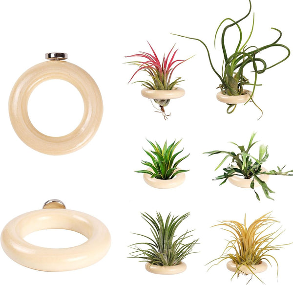 LNBNIEW 6 Pack Air Plant Holder Magnet Wooden Air Plant Display Stand Small