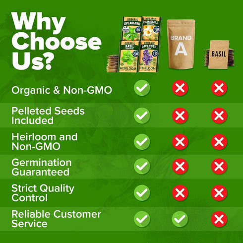 Pack 2,500+ HOME GROWN Organic Herb Seeds Variety - Non GMO, Heirloom High-Germinating Heirloom Seeds for Planting