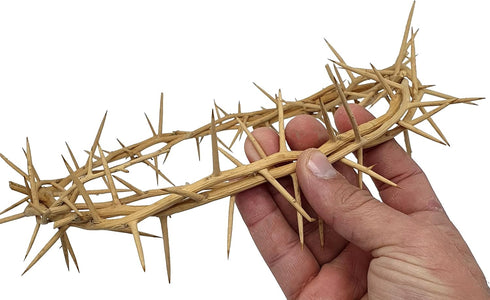 ZULUF Crown of Thorns Ornament, 7.5" from Bethlehem Jerusalem, Gift Boxed