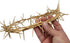 ZULUF Crown of Thorns Ornament, 7.5" from Bethlehem Jerusalem, Gift Boxed