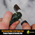 Cave Tools Jalapeno Pepper Corer and Deseeder for Bell, Banana, or Chili Peppers, Kitchen and BBQ Accessories