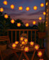 2 Pack 20 Summer, AceList Plumeria Flower String Lights, LEDs Each, Battery Operated, Hawaiian Foam Frangipani Garland