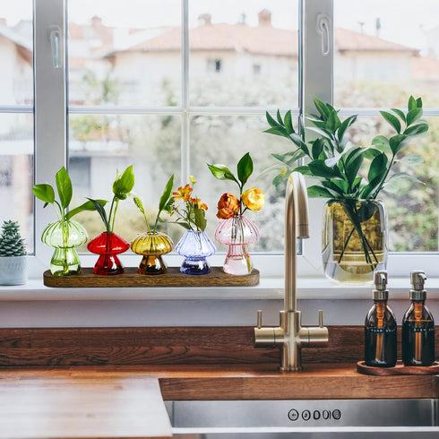 Set 5, Mushroom Vase, Mushroom Propagation Stations Vases, Colored Glass Vase of Hydroponic Glass Container for Plants