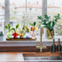 Set 5, Mushroom Vase, Mushroom Propagation Stations Vases, Colored Glass Vase of Hydroponic Glass Container for Plants