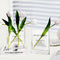 Aoderun Book Vase for Flowers Clear Glass Vase for Book Lovers Unique Flower Vase for Bookshelf Living Room