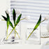 Aoderun Book Vase for Flowers Clear Glass Vase for Book Lovers Unique Flower Vase for Bookshelf Living Room