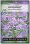 Sow Right Seeds - Bergamot (Bee Balm) Flower Seeds for Planting -