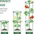 36Packs 3 Plant Support Stake Half Round Plant Support for Indoor Plants, Stackable Tier Garden Flower Support, Plant