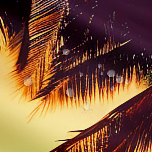 Ocean Beach Shower Curtain 72x84, Tropical Palm Tree Bath Curtain with 12 Pack Hooks, Hawaiian Sunset Decor