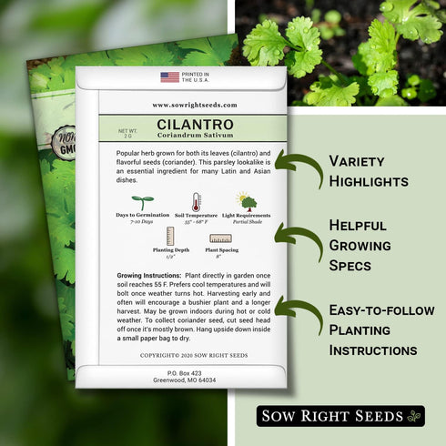 Packet (1) Sow Right Seeds - Cilantro Seeds for Planting - Non-GMO Heirloom with Instructions to Grow a Kitchen Herb