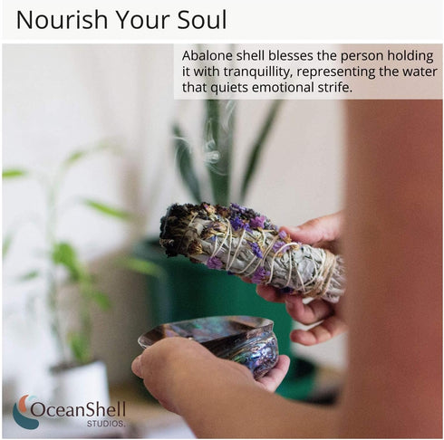 Polished Abalone Shell, 4.5" to 5.5", in Gift Box for Smudging, Cleansing, Meditation, Home Décor - 100% Natural Shell
