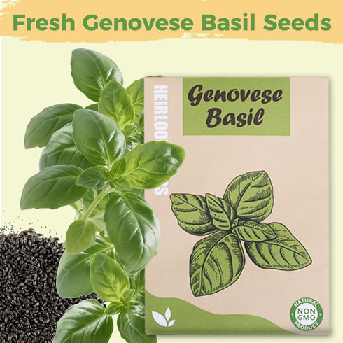 Herblink 8 Basil Seed Pods Kit Hydroponic - Refill Herb Pod for All Indoor Garden, Grow Pods with Seeds of Genovese